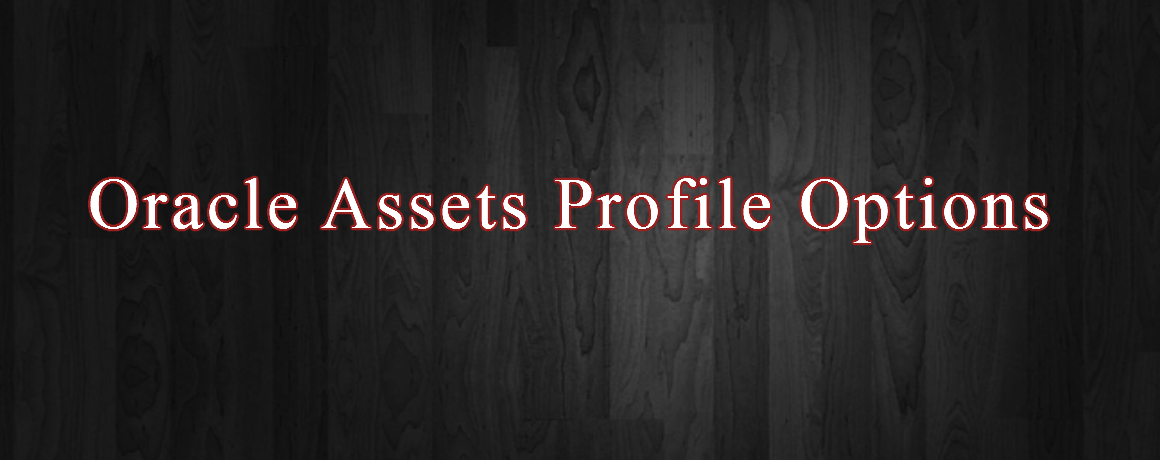 Oracle Assets Profile Options
